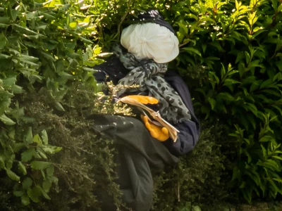 scarecrow in shrubs