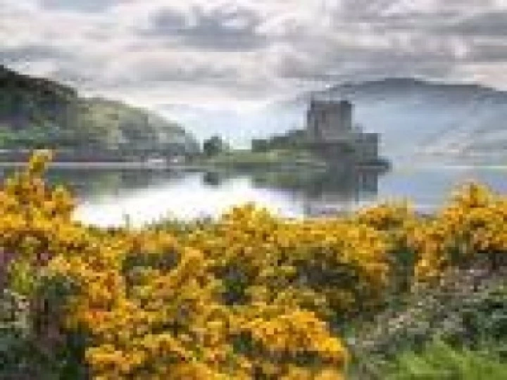 scotland