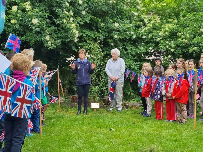 scout  guide tree planting 02