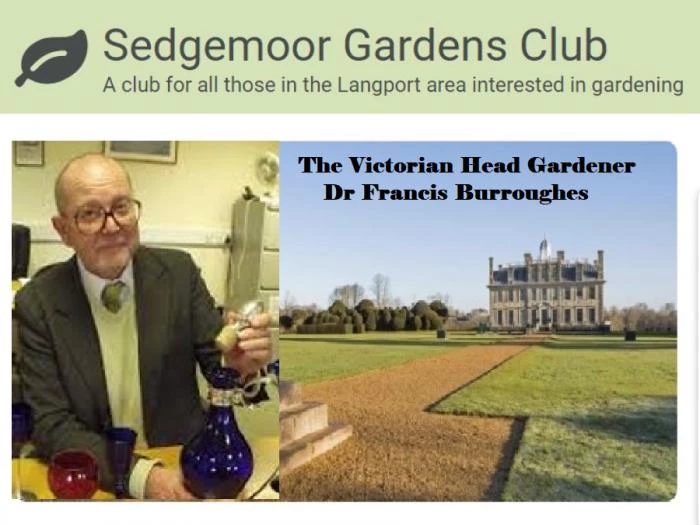 sedgemoor victorian head gardener