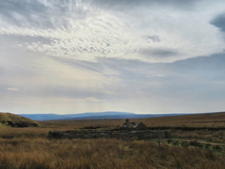 shepherdshuttailbrigg