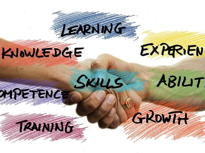skills professional development competence