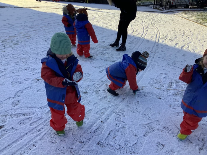 snow 255
