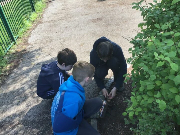 soil1