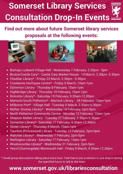somerset library consultation2