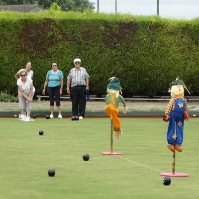 somerton and district bowls1