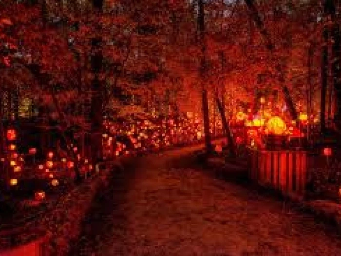 spooky pumpkin trail