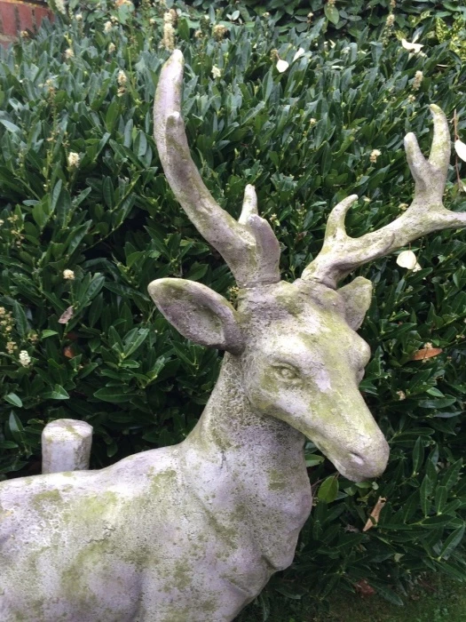 stag 1