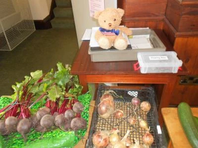 stokesley veg stall