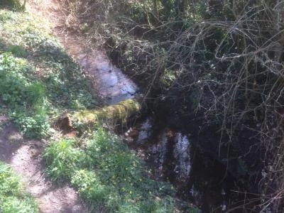stream entering gowy