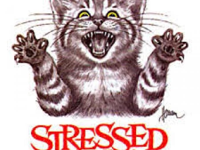 stressed out
