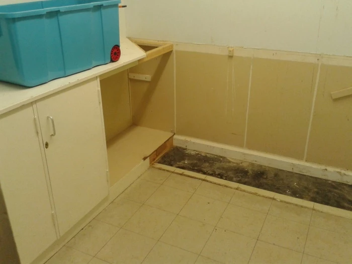 stripping out old cloakroom