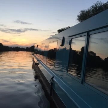 sunsetsunsflowerthamessolar