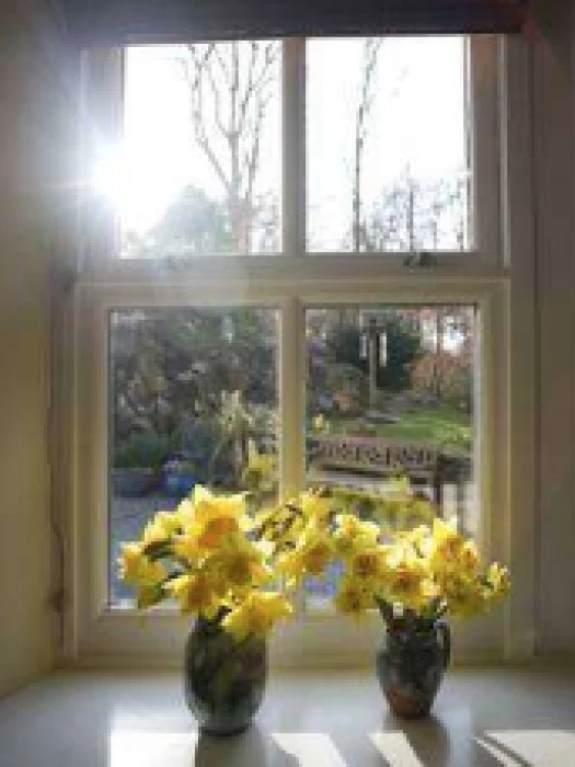 sunshine window