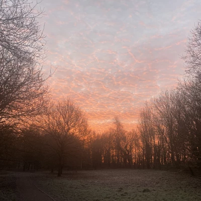 tarvin sunrise 140122  4