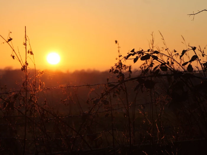 tarvin sunset jan 22  1