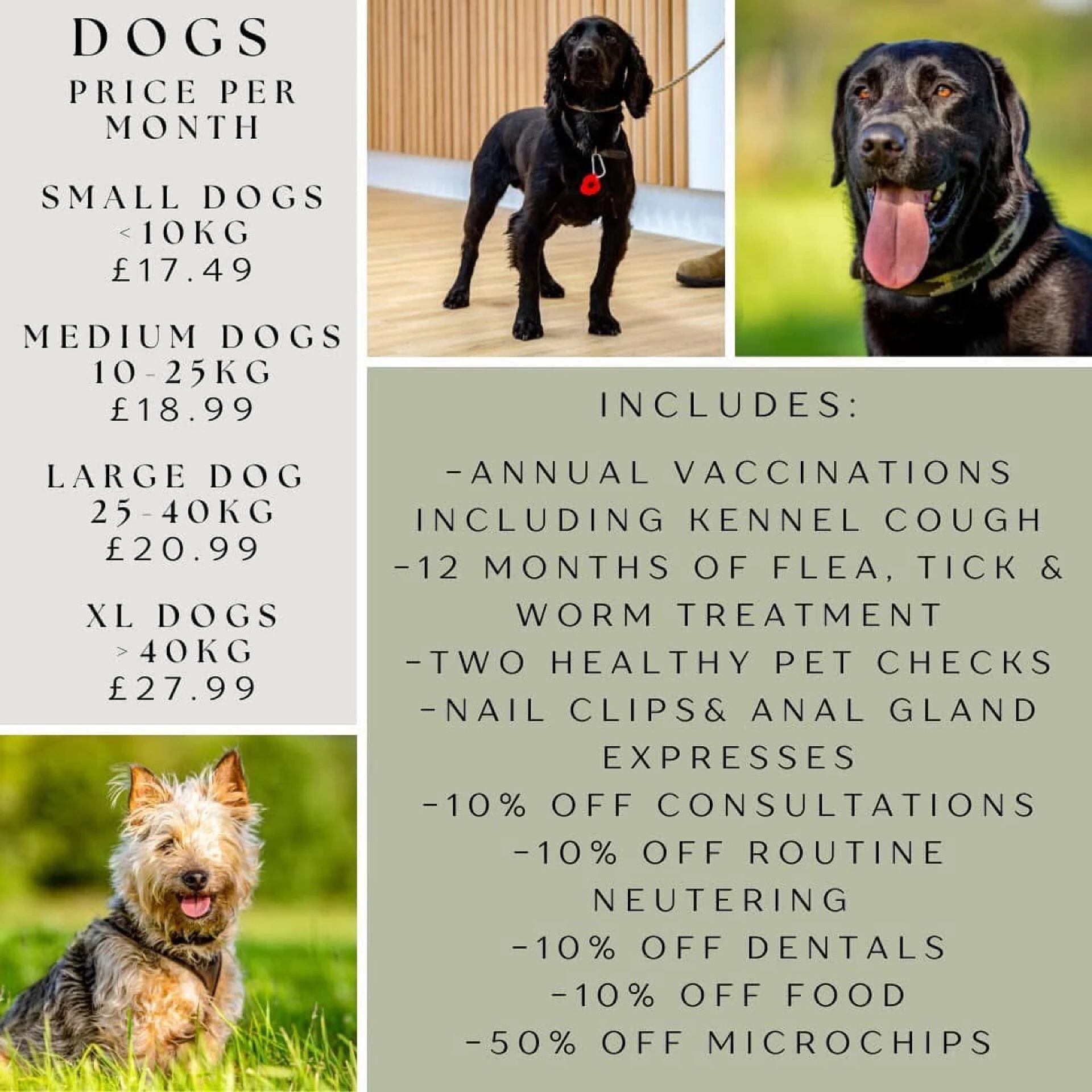 tattenhall vets