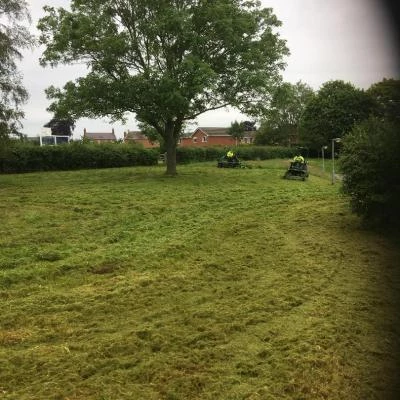 tcc grass cutting