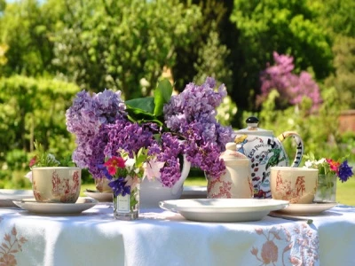 teas in the garden