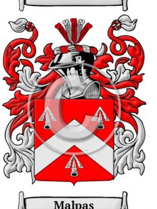 the ancient malpas coat of arms