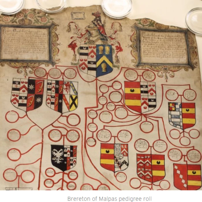 the brereton pedigree role
