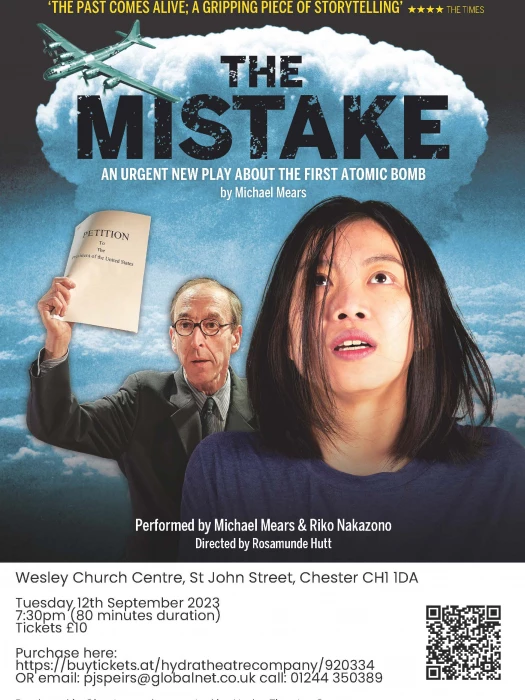 the mistake poster
