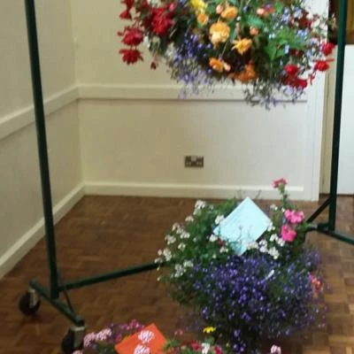ths 2017 flower basket exhibits 20170819150048resized