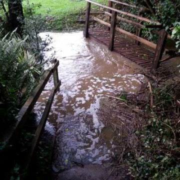 timsbridge20191026155715