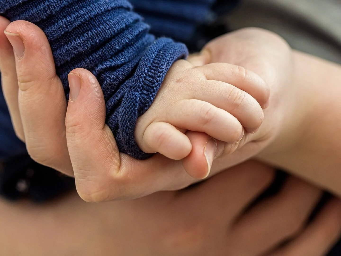 toddler hand child39s hand hand trust hands closeness affection hold tight security keep support prop up connection contact close relationship connect together love connect competition trust trust trust trust trust security se