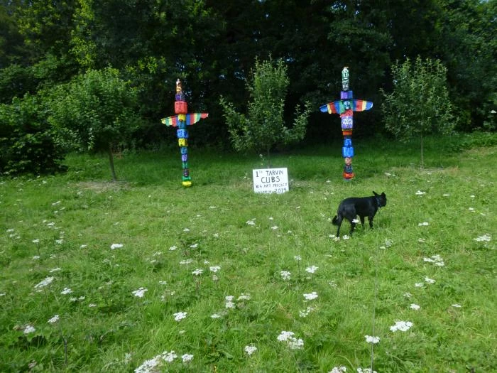 totum poles in the woodland p103076635788