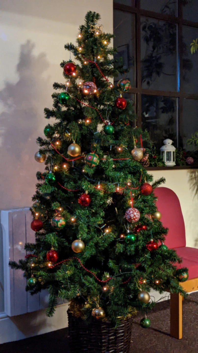 tree