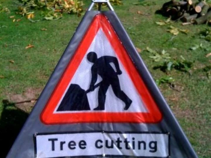 treesurgeon
