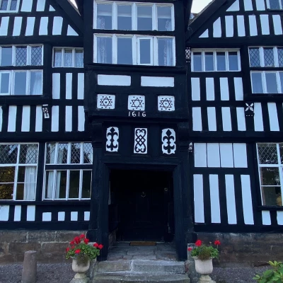 tudor rose 1