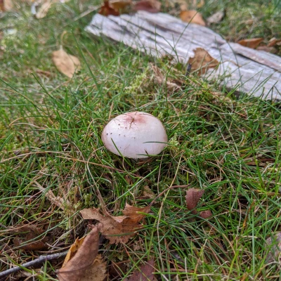 unknown 2