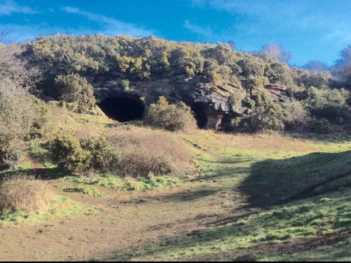 uptons cave