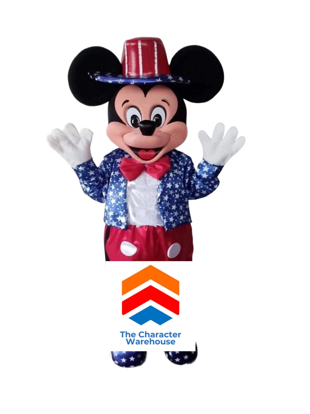 usa mickey