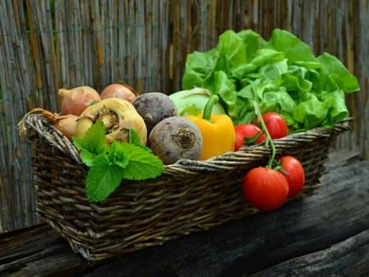 vegetables752153340