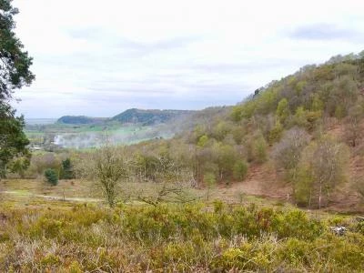 view across bickerton hill to raw head