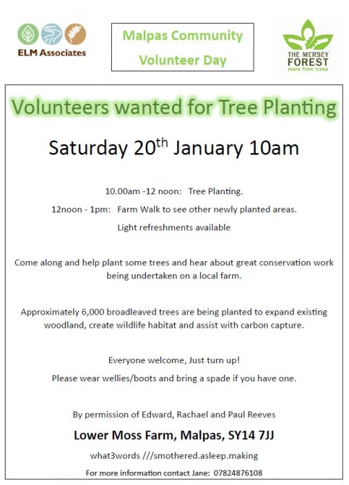 village planting day