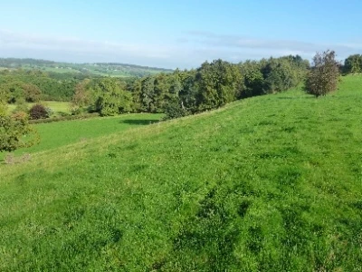 walk dodds 2