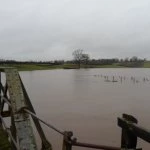 weaver flood 001