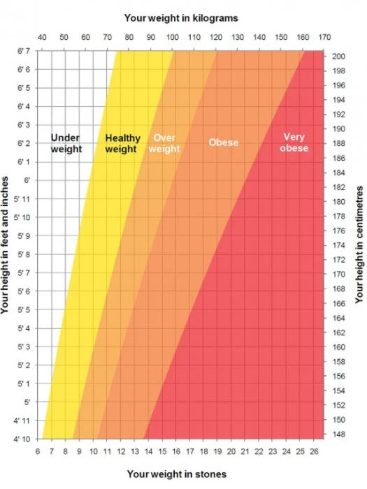 weight height chart