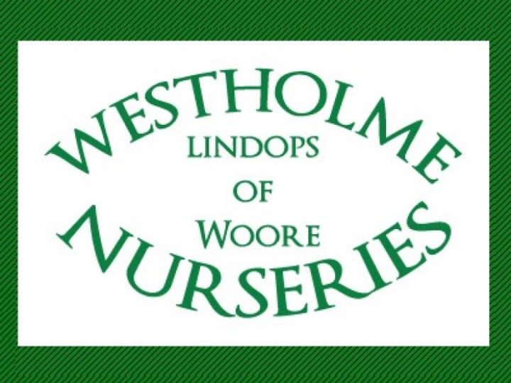 westholme