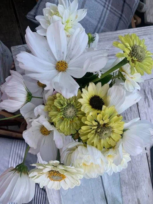 white arrangement