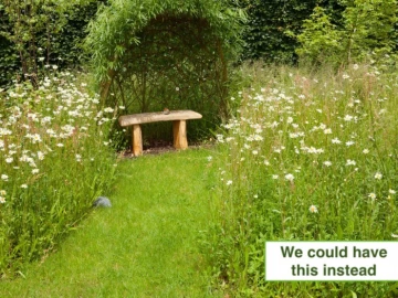 wildlifemeadowwillowshelter