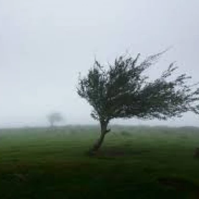 winds gusting