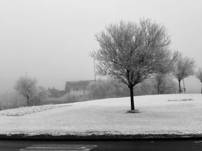 winter scene
