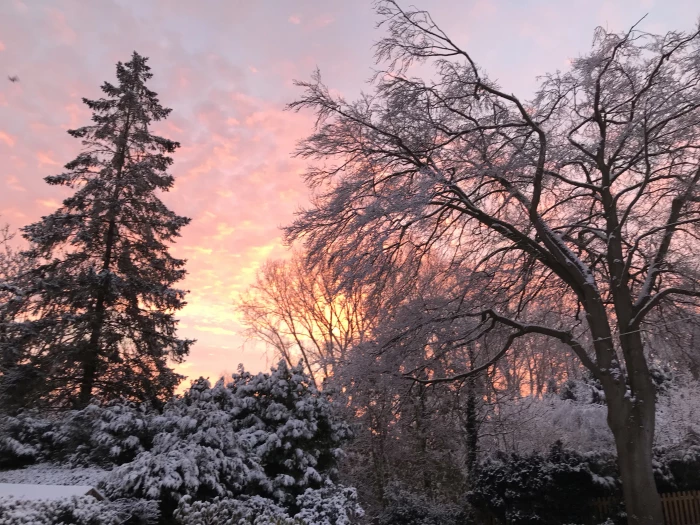 winter sky 3