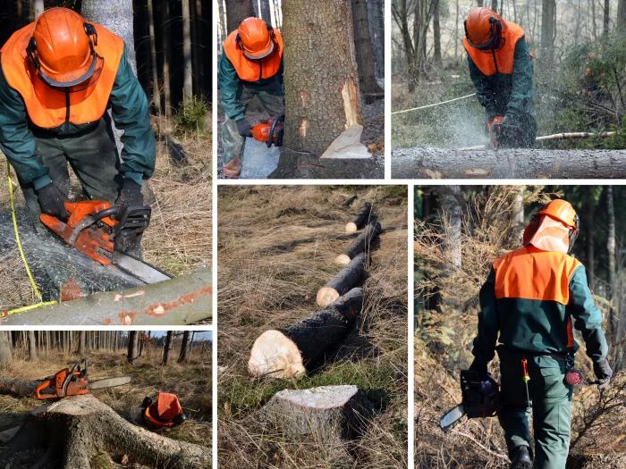 woodcutter forest work chainsaw composite set