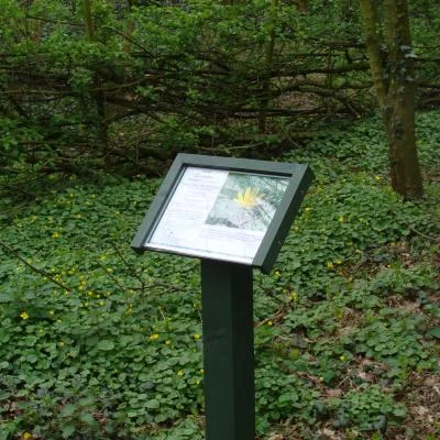 woodland signage 3